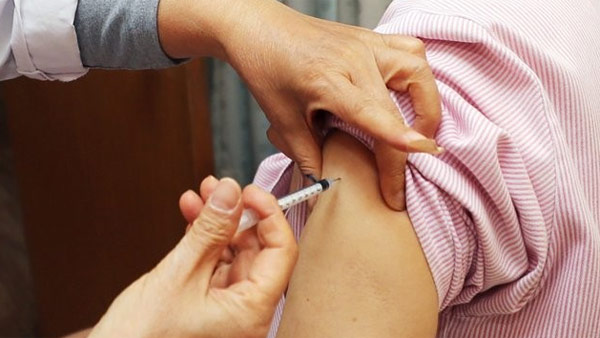 화이자 '오미크론 대응' 개량백신 78만회분 오늘 국내 도입