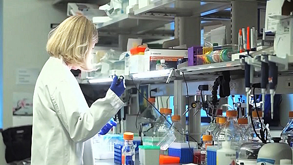 미국서 오미크론 하위변이 BA.2, 우세종으로 올라서…54.9%