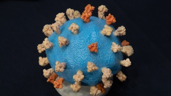 WHO "혼합변이 XE, 전염력 더 높을수도"