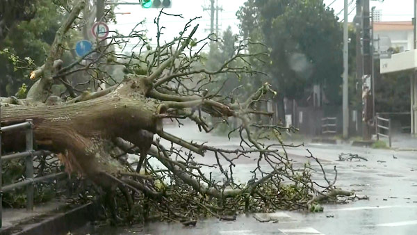 "전신주 넘어뜨릴 강풍 온다"‥日신칸센 일부 운행 중단