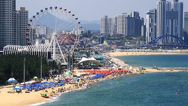 올여름 국내여행 어떻게‥"7말 8초, 승용차 타고 동해안에" 최다