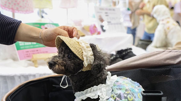 2027년 반려동물 시장규모 15조원으로‥정부 지원 강화