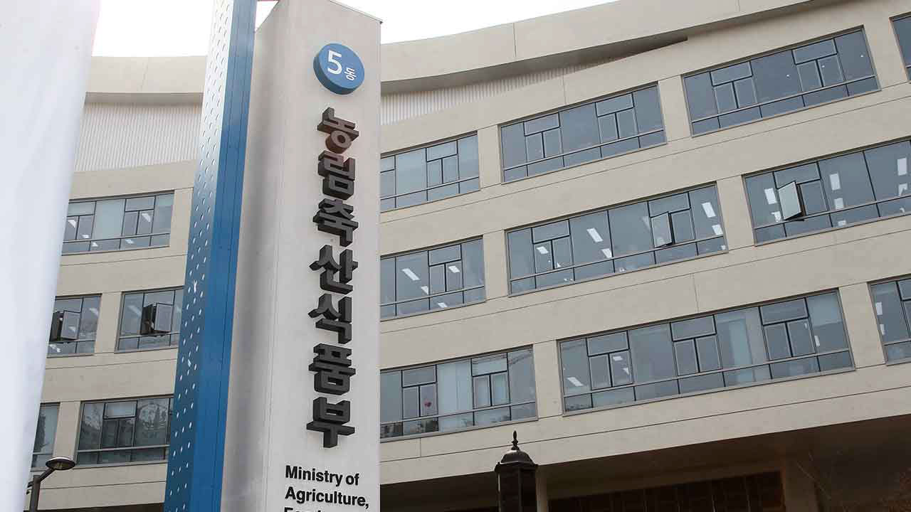 이틀 새 소 럼피스킨병 4건 확진‥방역당국 "긴급 백신 접종"