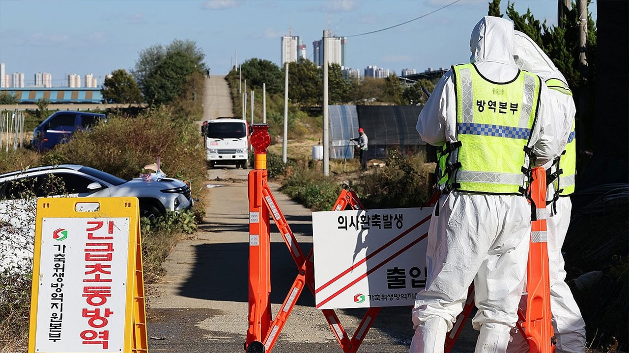 소 럼피스킨병 확진 5건 추가‥사흘새 10건으로 늘어