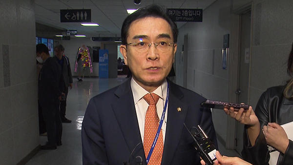 여당, 두 최고위원 '자진 사퇴' 압박?‥태영호 "들어본 적 없어"