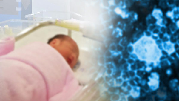 서울 강남 최고급 산후조리원에서 신생아 5명 바이러스 감염