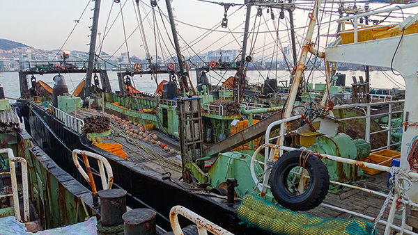 집어등 켜고 그물로 오징어 싹쓸이‥헌재 "금지는 합헌"