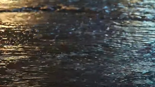 전남 목포·영암서 도로 침수‥시간당 44mm 집중호우