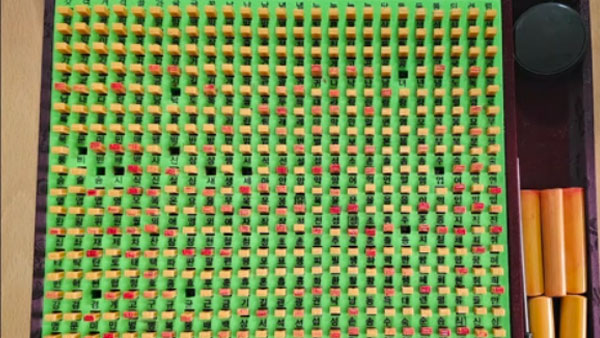 딸·사위 등 가족 명의로 98채 매입‥87억 전세사기 저지른 13명 검거