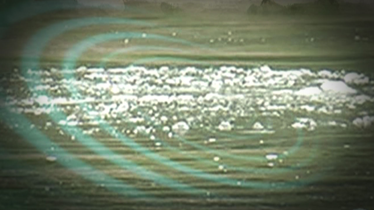 체험학습 중이던 유치원생 목포 앞바다 빠져 숨져