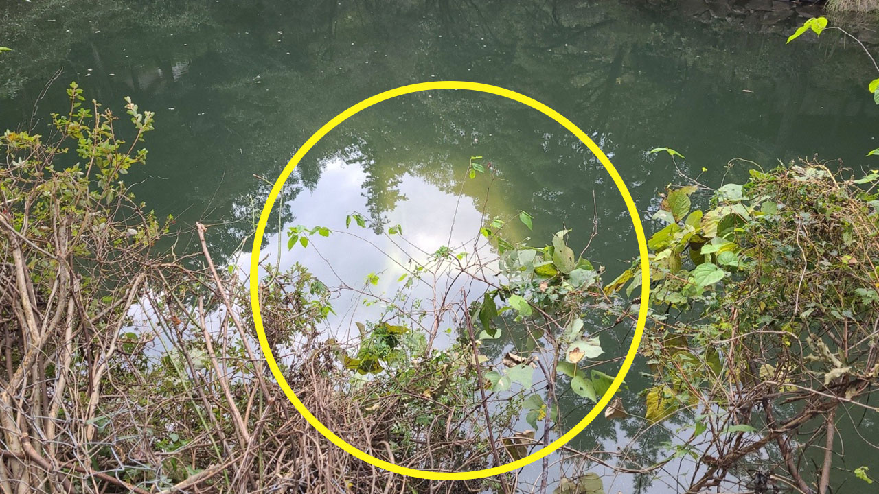 전남 화순 연못에 차량 빠져‥50대 운전자 숨진 채 발견