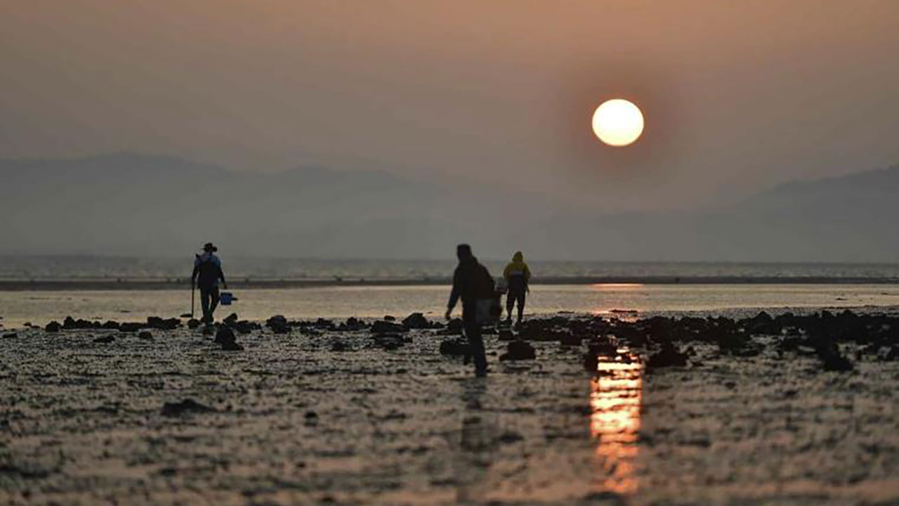 전남 지역 갯벌·부산 피란수도 흔적, 세계유산 잠정목록 등재