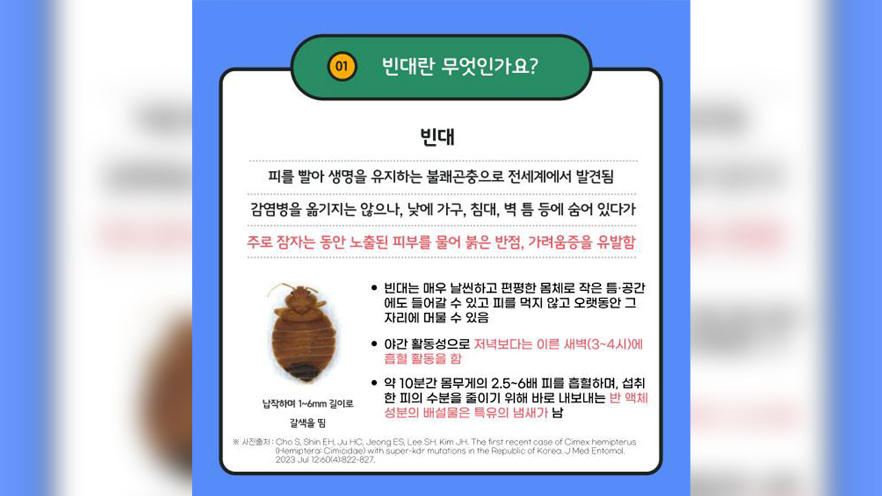 "시내 숙박·목욕시설 3천 곳 점검"‥서울시, '빈대발생 신고센터' 운영