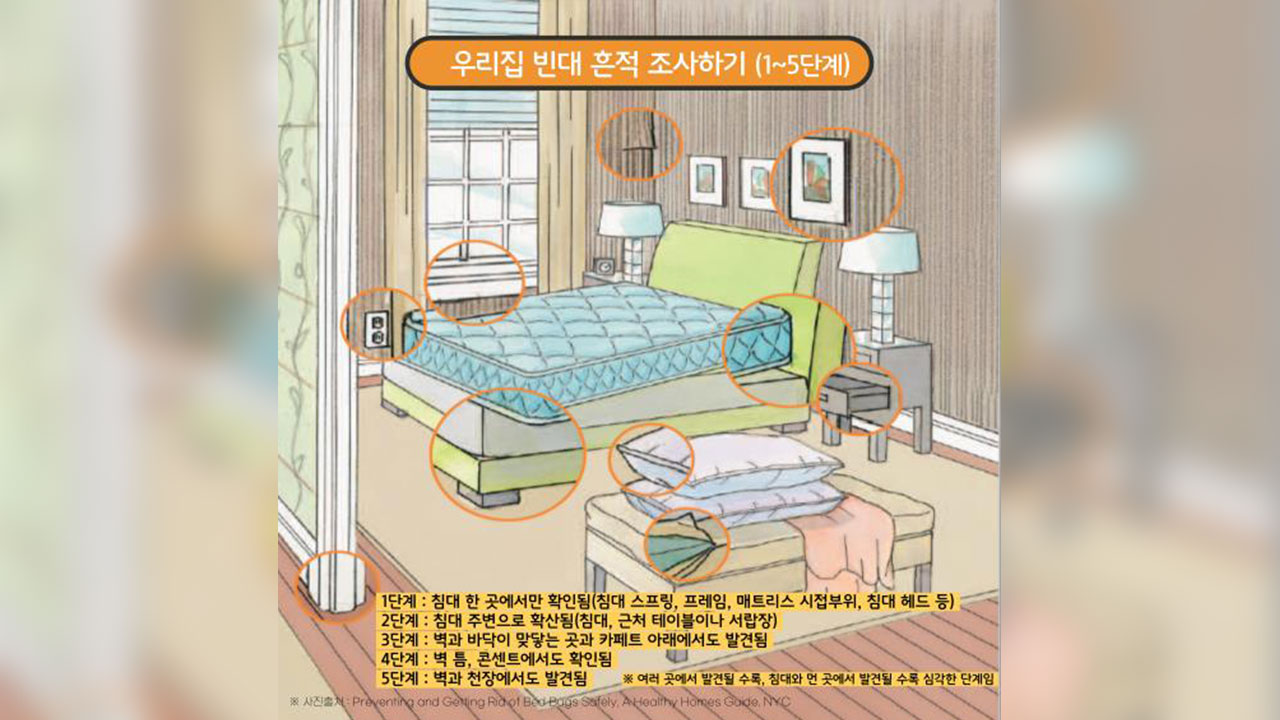 "시내 숙박·목욕시설 3천 곳 점검"‥서울시, '빈대발생 신고센터' 운영