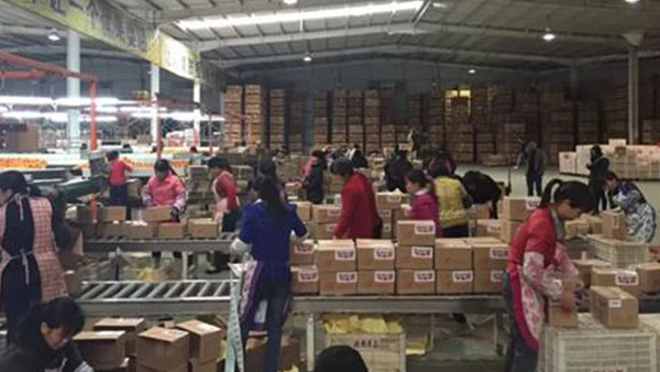 中알리바바 물류기업, '3일 내 韓 배송' 해운 고속노선 신설