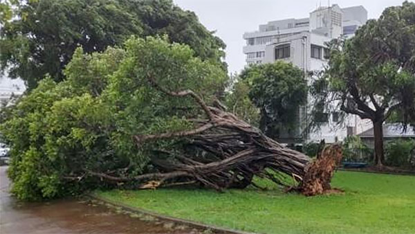 태풍 카눈 일본 규슈 접근최대 400 폭우 예상