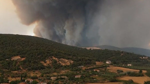 그리스 산불 잿더미서 시신 26구 발견‥"불법 이주민 추정"