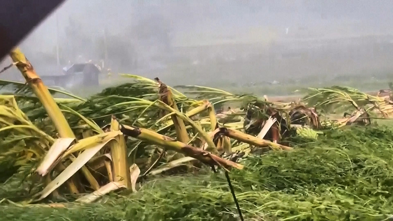 대만, 태풍 '하이쿠이'로 25만 가구 정전‥1백여 명 부상