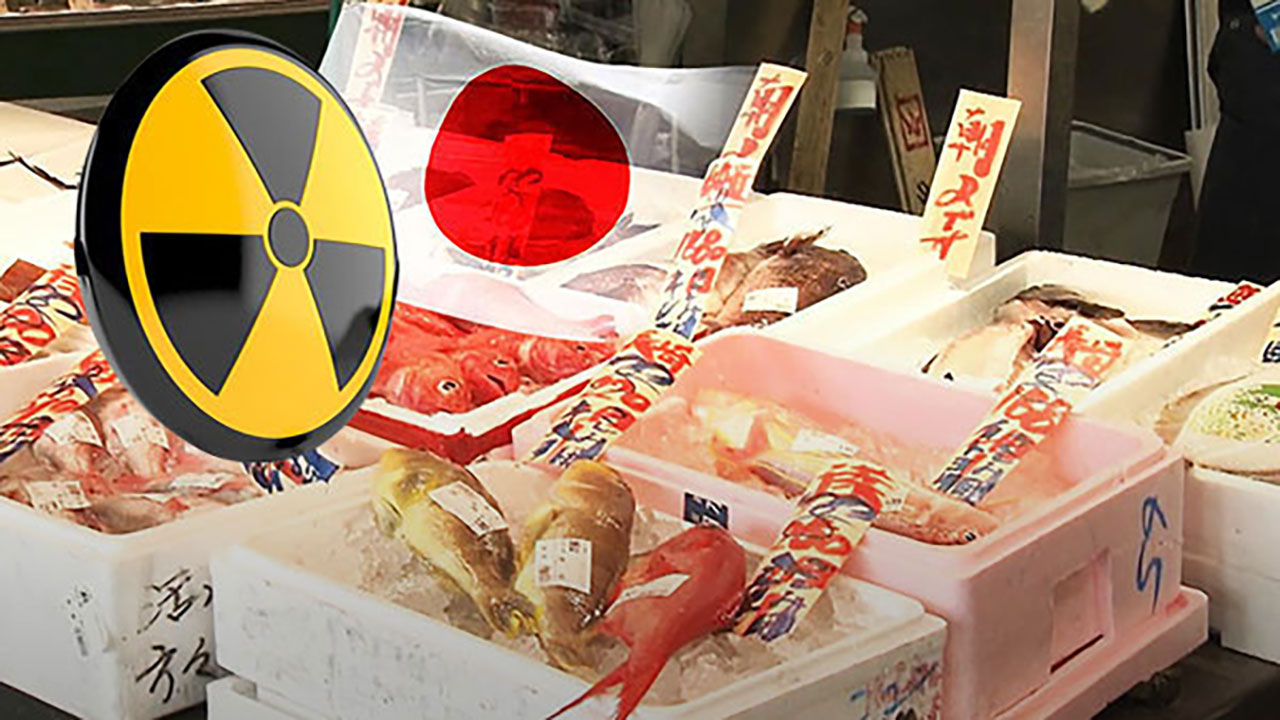 일본 지난달 대중 어패류 수출 75% 감소‥중국 수입금지 영향 추정