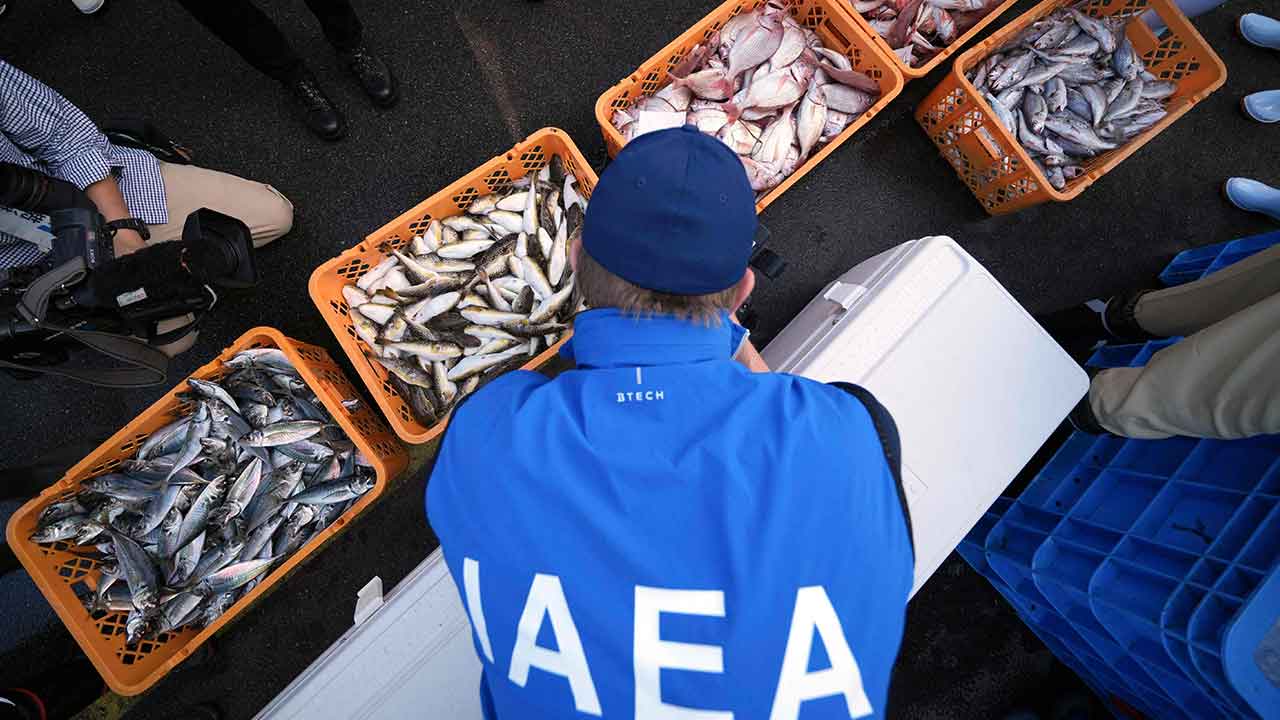 IAEA, 오염수 방류 후 후쿠시마 수산물 첫 조사‥한중일 개별분석