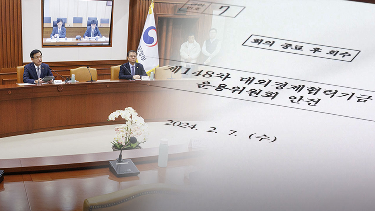 개도국에 13조 8천억 원 자금지원‥우크라에 21억 달러