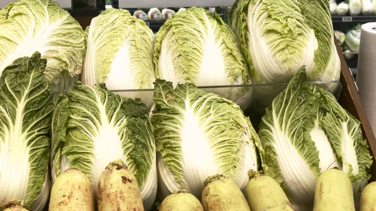 배춧값 한 포기 7천 원 넘어‥1년 전보다 26.7%↑