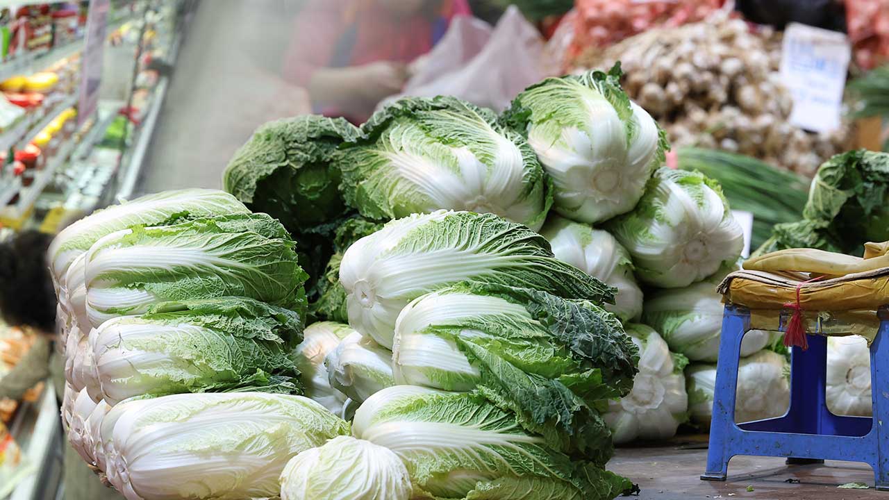 대형마트들, 김장 절임배추 예약판매 개시‥가격 오를까 촉각