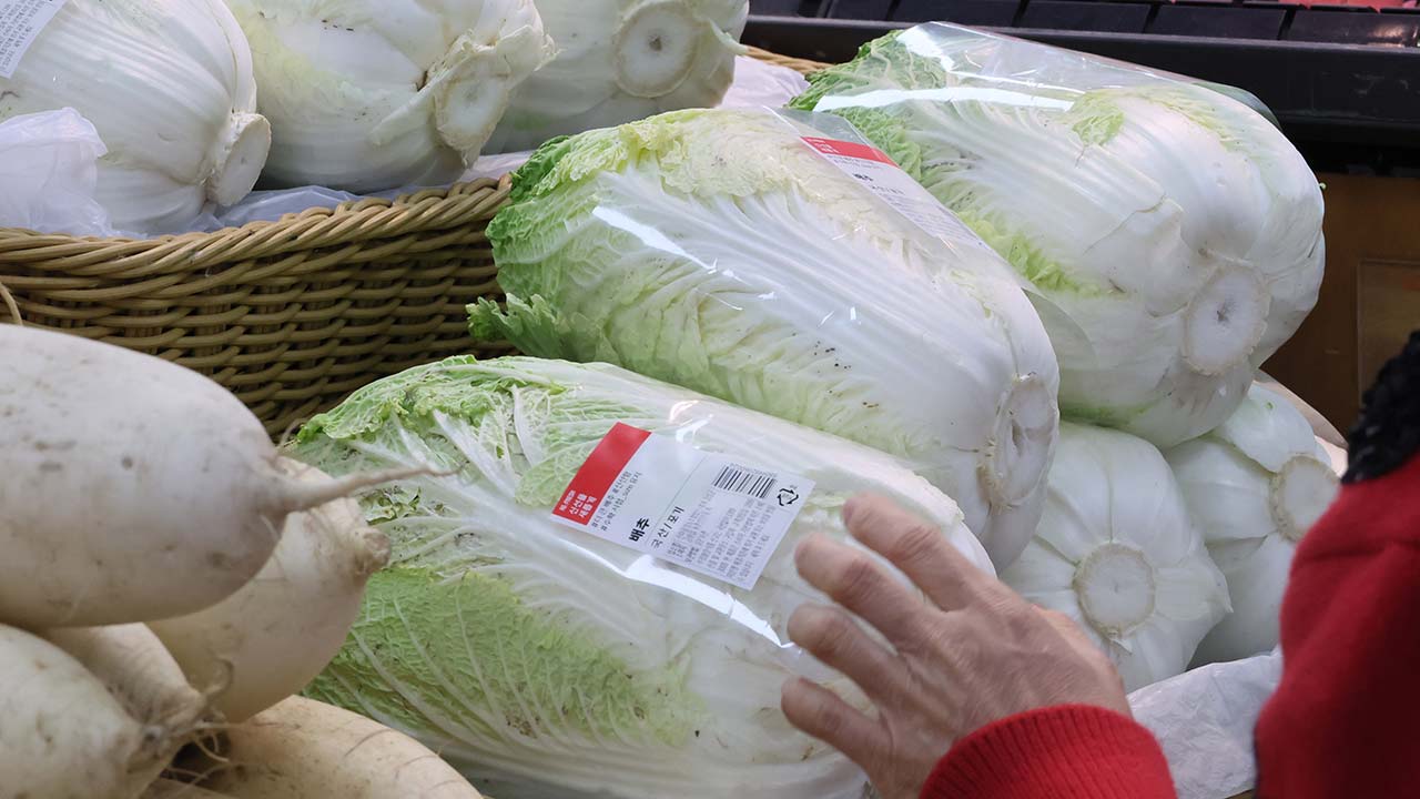 '김장철 다가오는데' 배추·무 가격 강세 여전