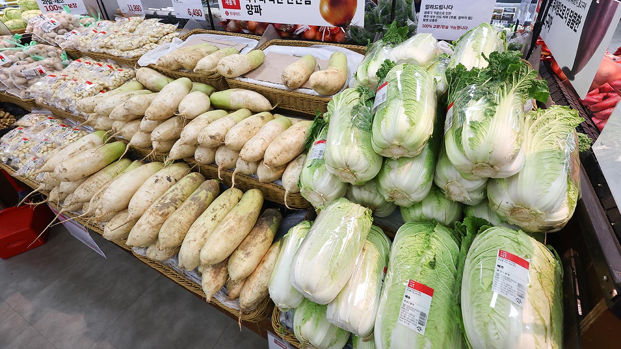 물가협회 "4인가족 김장에 42만원‥작년보다 20% 더 든다"
