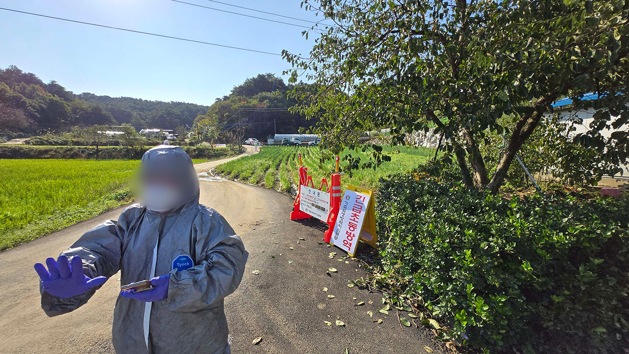 강원 동해 산란계 농장서 고병원성 AI 발생‥올가을 첫 발생