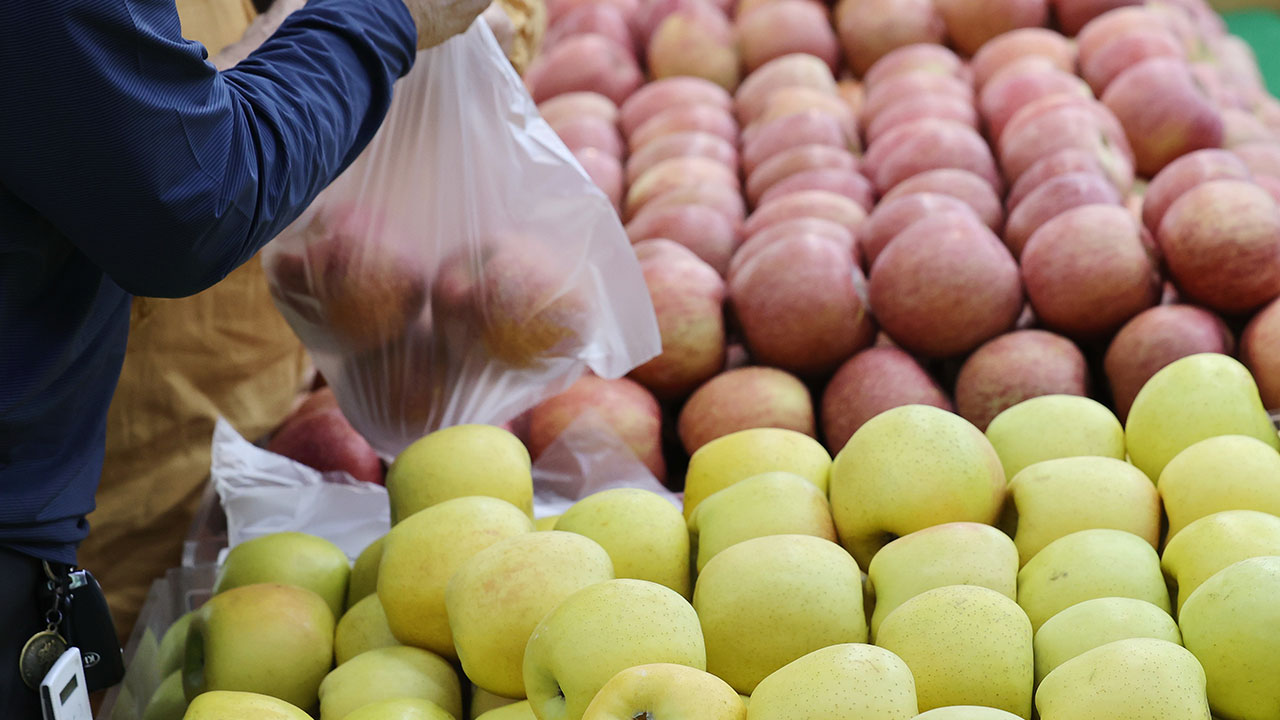 농협 "기후변화에 강원이 사과 재배적지로‥13년 새 면적 677% 증가"