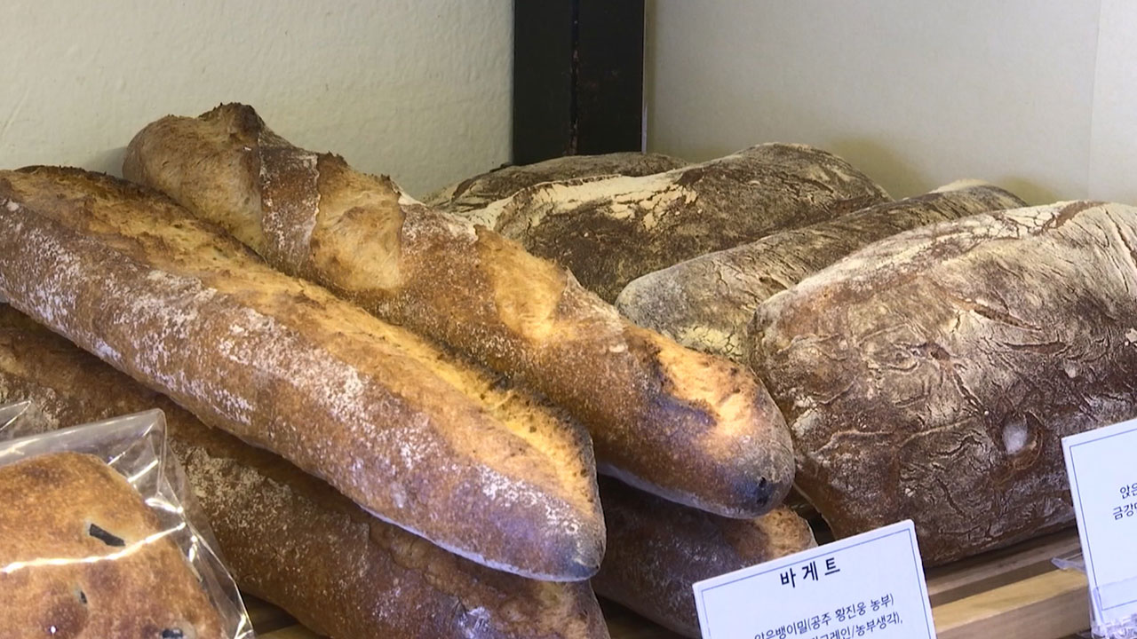 빵·과자도 한류‥1∼11월 K베이커리 수출 4억 달러, 역대 최대