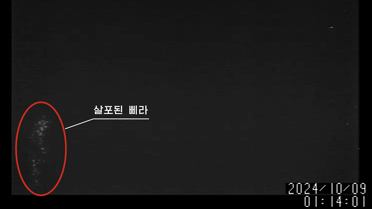 대북지원·인권단체 "아는 바 없다"‥일각선 '北 자작극' 가능성도