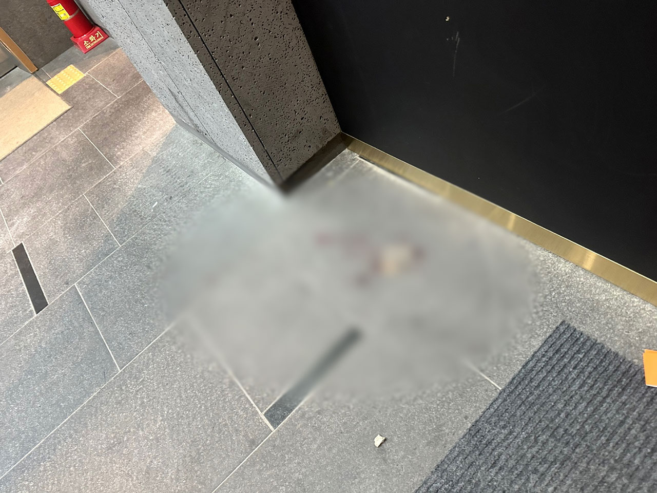 국민의힘 배현진 의원, 서울 강남에서 피습