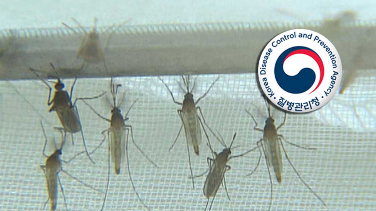 전국에 일본뇌염 주의보 발령‥쌀쌀한 날씨에 작년보다 7일 늦어