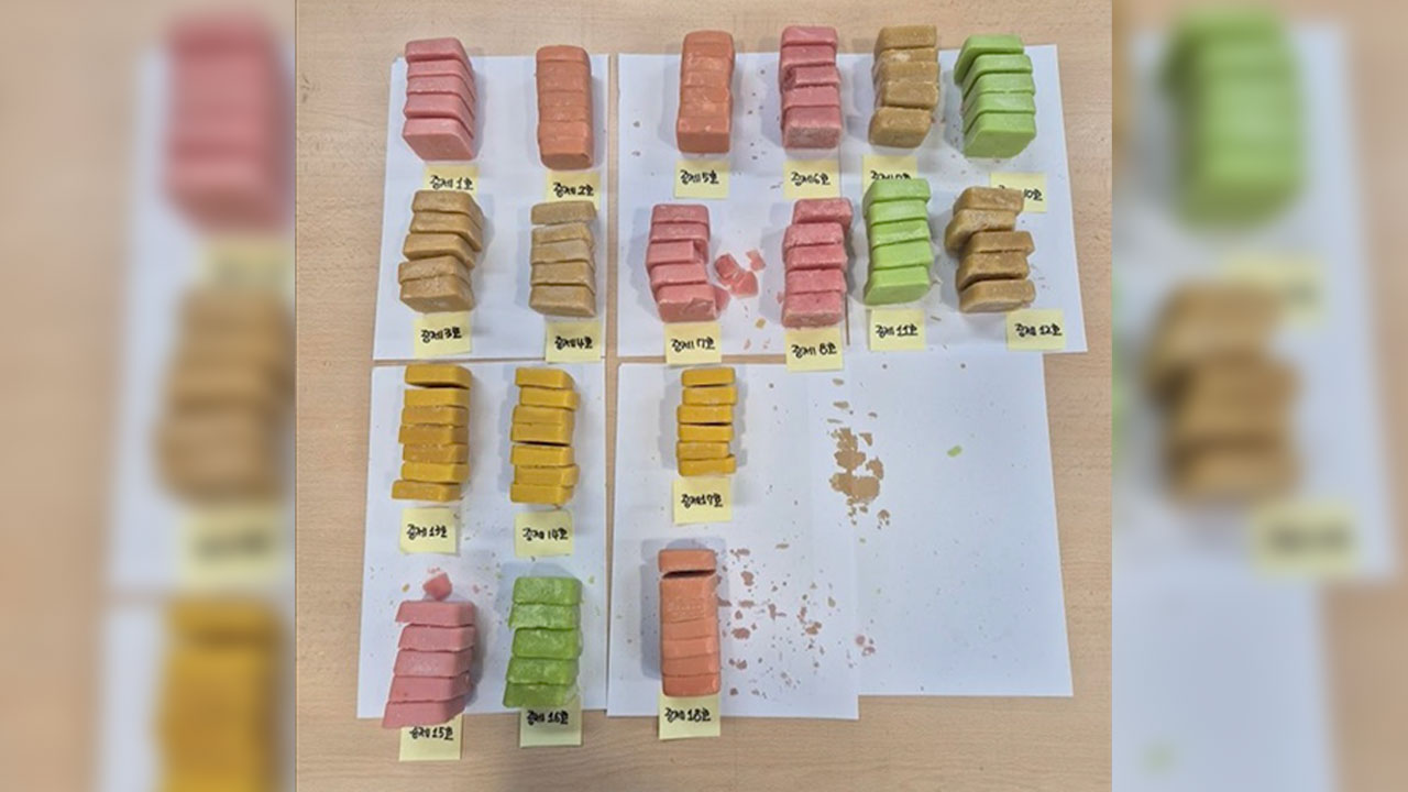 '미 마약단속국·세관 공조'‥검찰, 마약 밀수 시도한 여성 검거