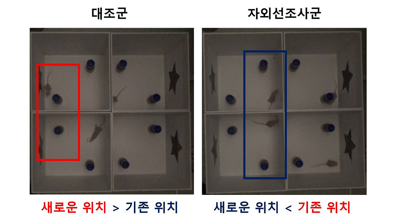 '선크림' 없이 바깥 활동 오래 하면 기억력도 떨어진다고?