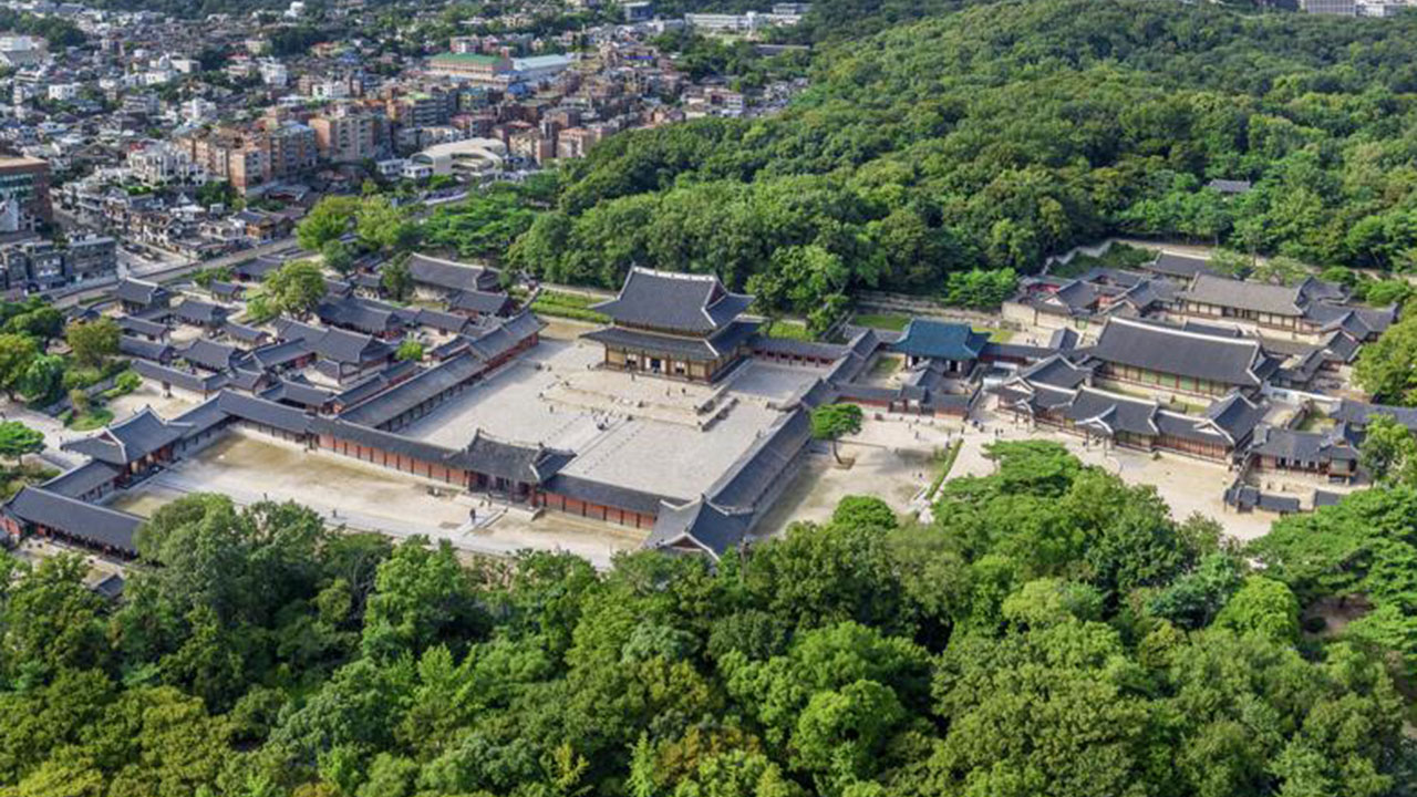 창덕궁 후원 일대서 멧돼지 출몰‥수색 끝에 1마리 사살