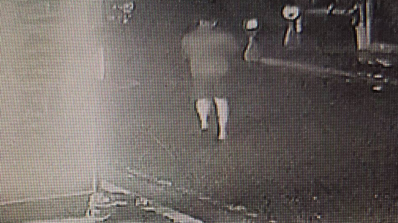 경찰, 노래방 업주 살인미수 30대 구속영장 신청‥강도·강간 미수 혐의도 추가