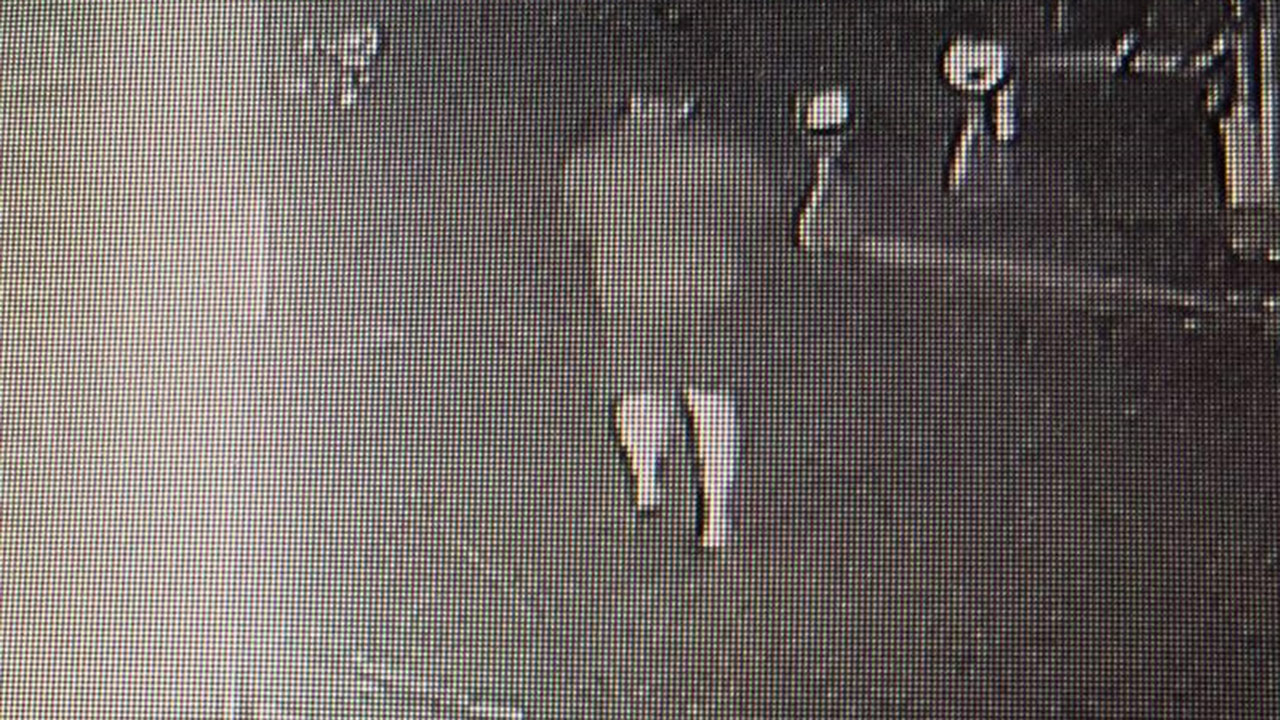 일산 노래방업주 강도 살인미수 30대 남성 검찰 송치