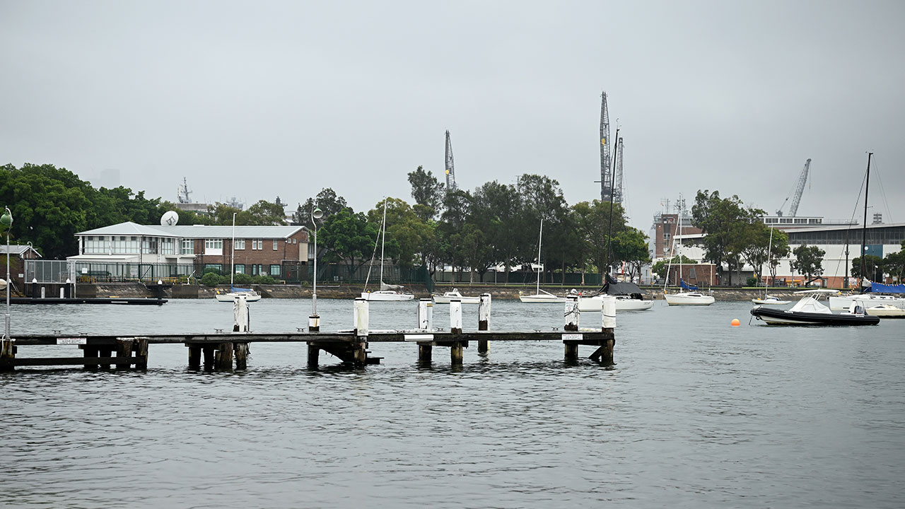 호주 여성, 시드니항에서 수영하다 상어에 다리 물려 중상