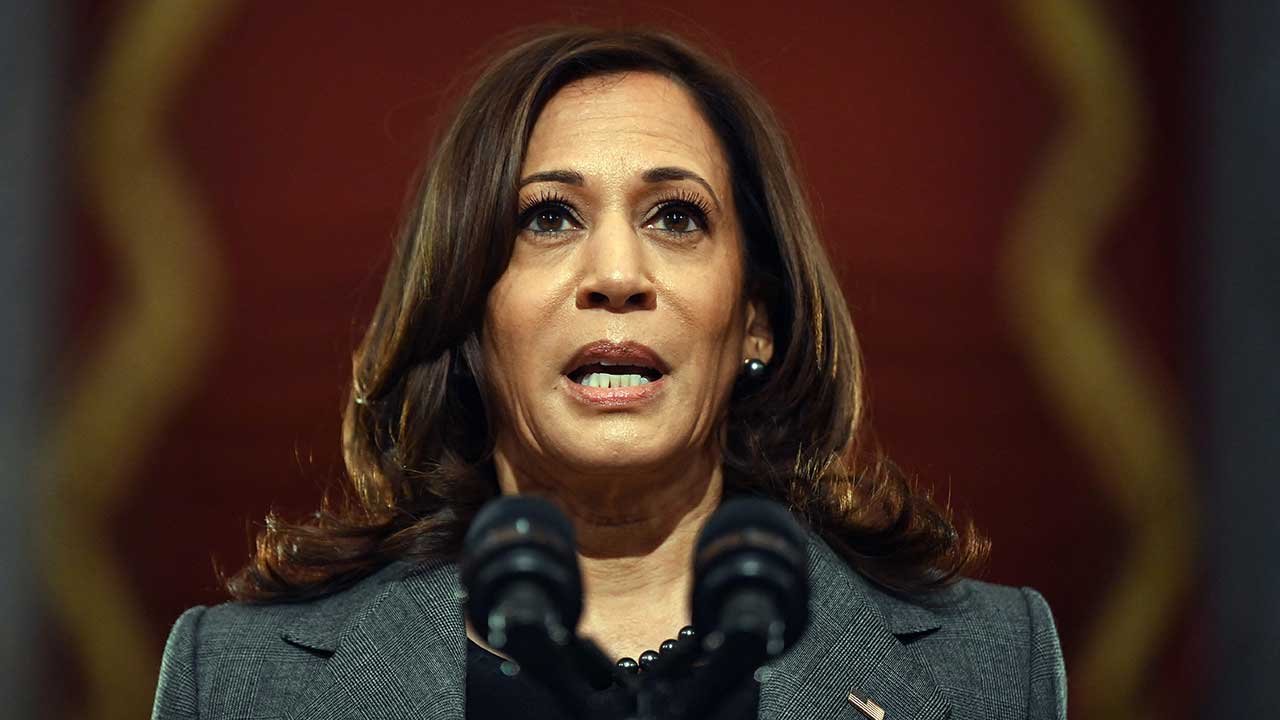 미국 민주당, 다음 달 1일부터 대선후보 온라인 투표‥해리스 지명 전망