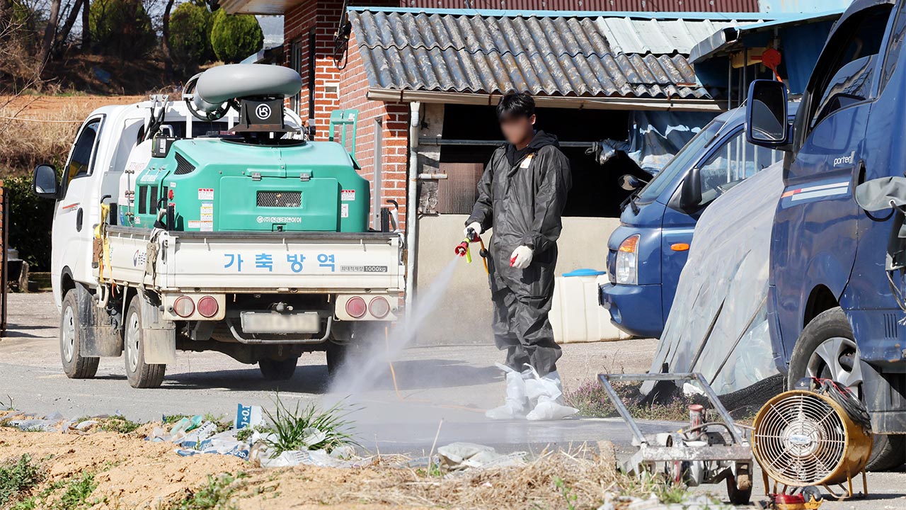 전남 영암 농장 세곳 구제역 추가 발생‥네곳으로 늘어