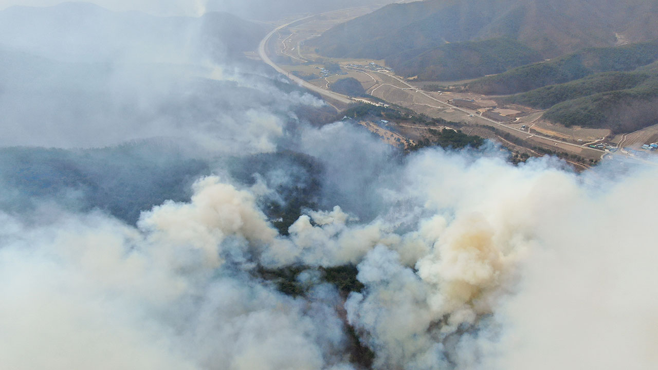 산불에 서산영덕·중앙고속도로 통제‥중앙·동해선 일부 운행 중단