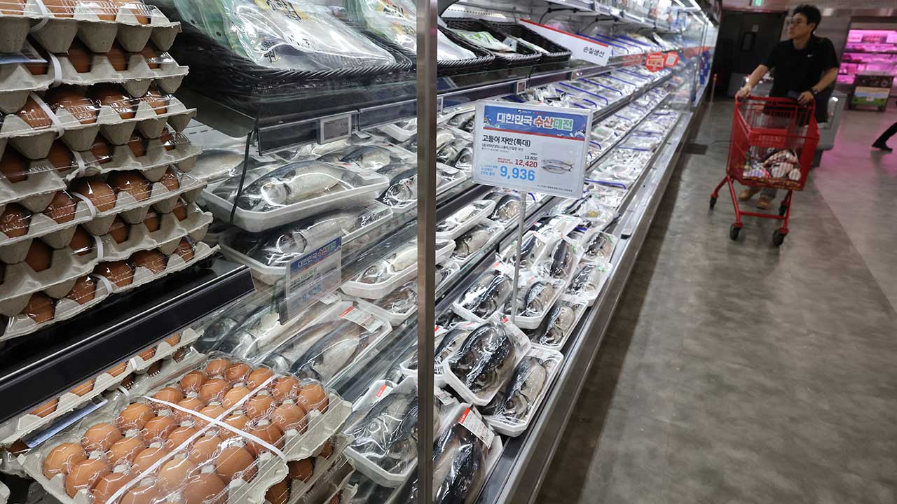 한은 "한국 의식주 물가, OECD 평균 크게 웃돌아"