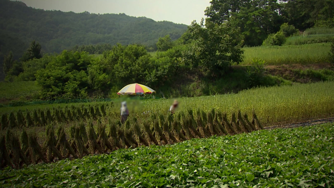 도시 떠난 귀촌 인구 3년 만에 반등‥30대가 최다