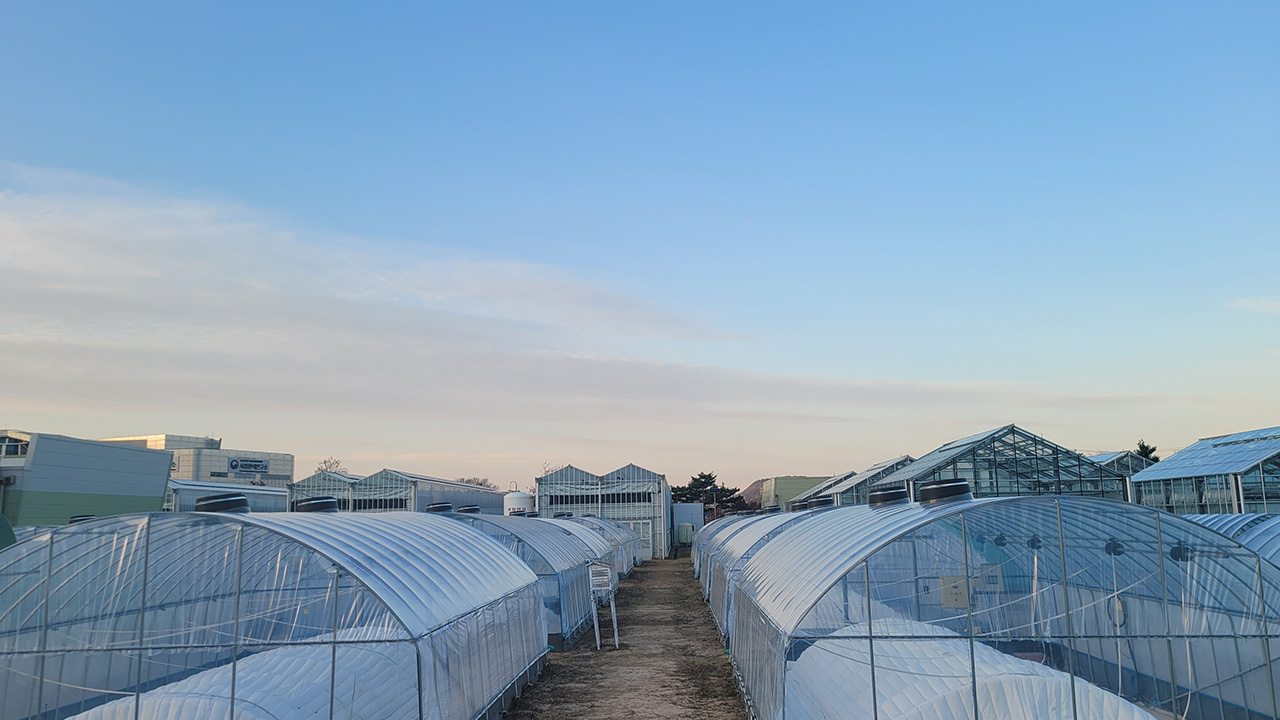 국산 온실용 '폴리올레핀 필름' 국산화 성공‥수입품 대체 기대