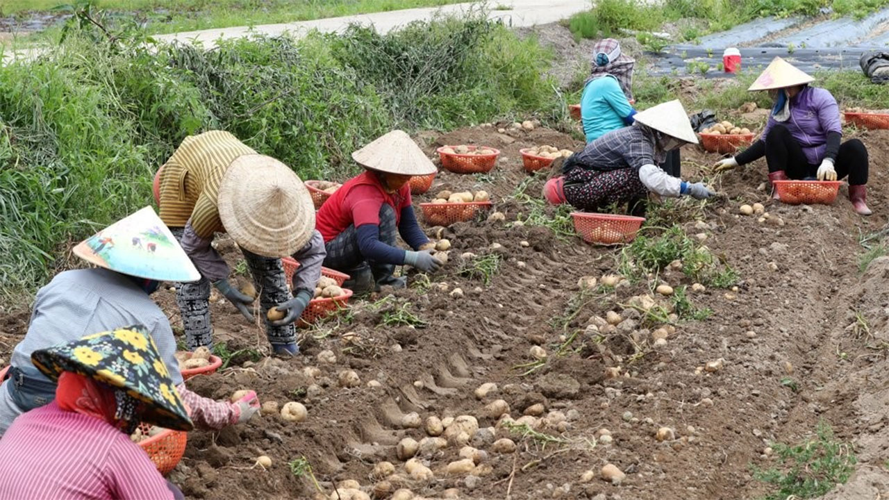 농어촌 외국인 계절근로자 2만여 명 추가 배정‥작년보다 41% 늘어