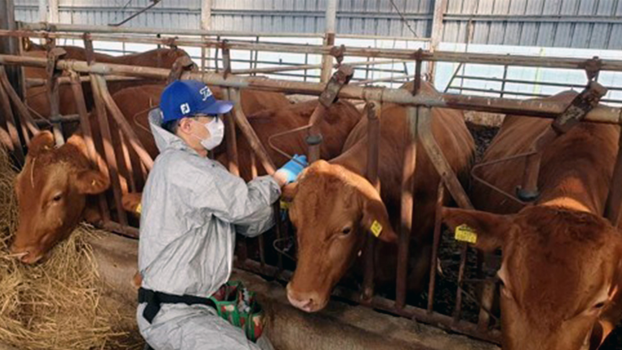 농식품부, '럼피스킨 발생' 프랑스산 소고기 수입 금지