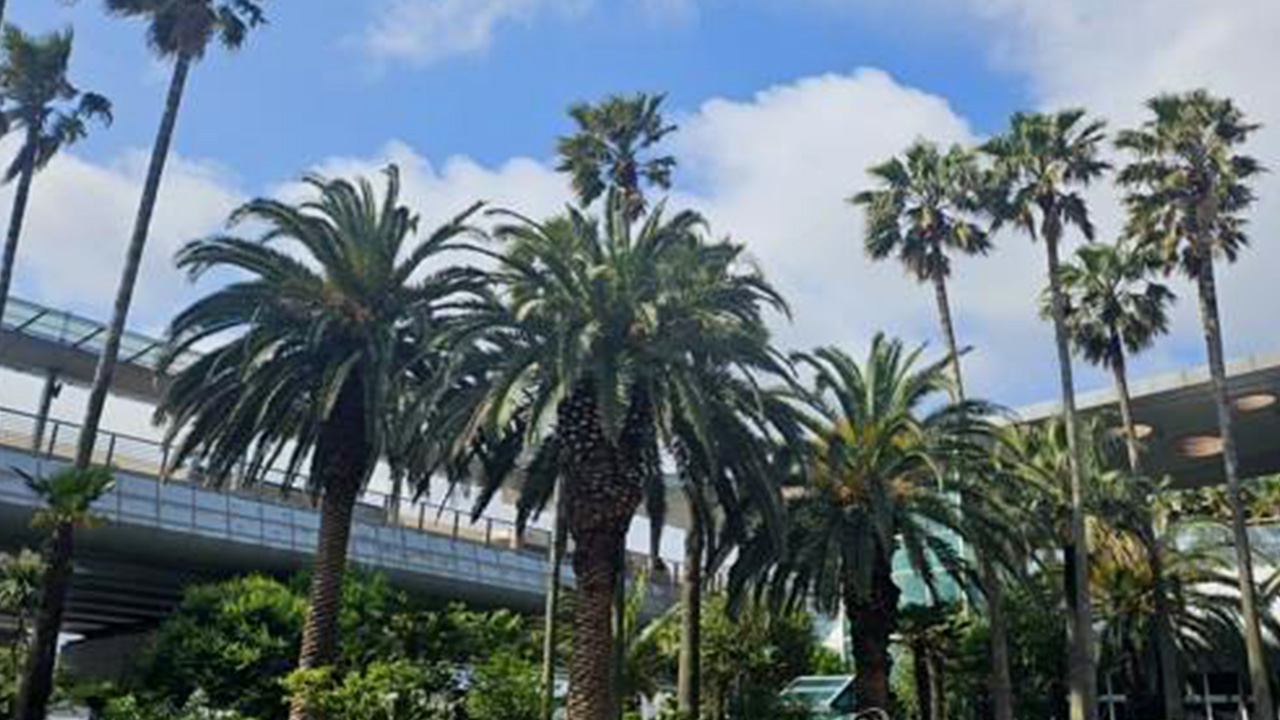 소비자원 "제주 여행 항공·숙박·렌터카 피해 주의보"